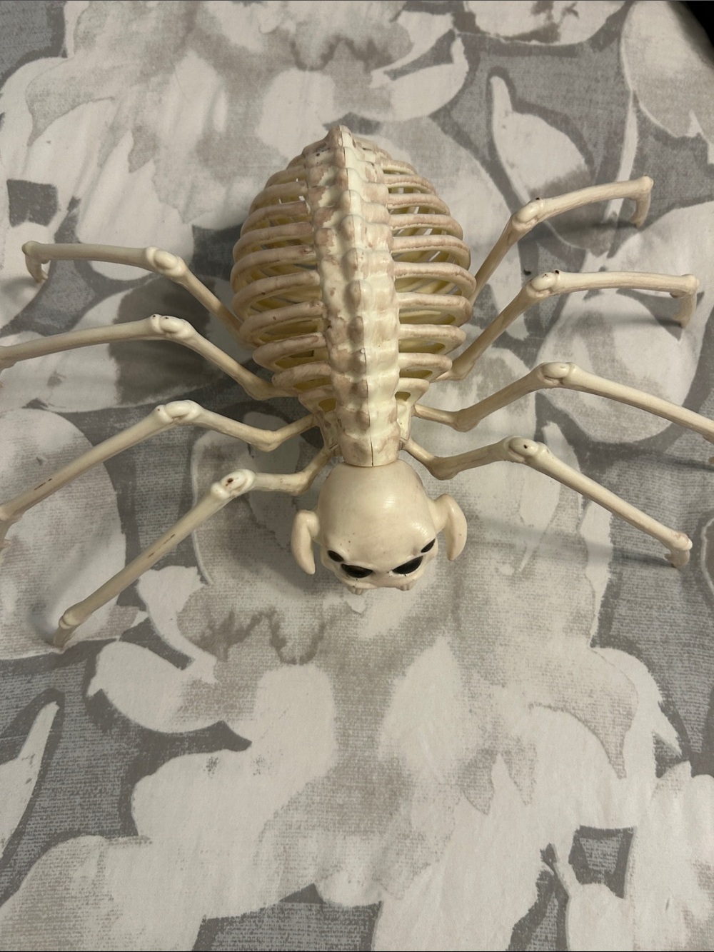 Skeleton Spider decoration